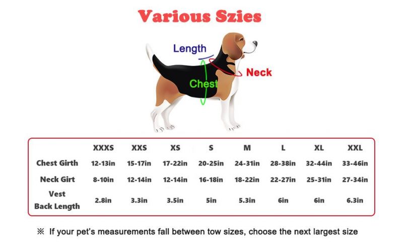 Spupps 2021 Colorful Shapes Color Best Harness for Dogs Pulling -Small Medium Large Breed Dog