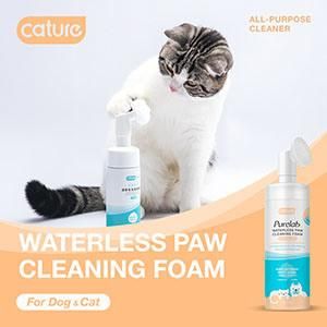 Pet Grooming Shampoo /Pet SPA Shampoo/Pet Skin Care Shampoo? Cat Waterless Shampoo