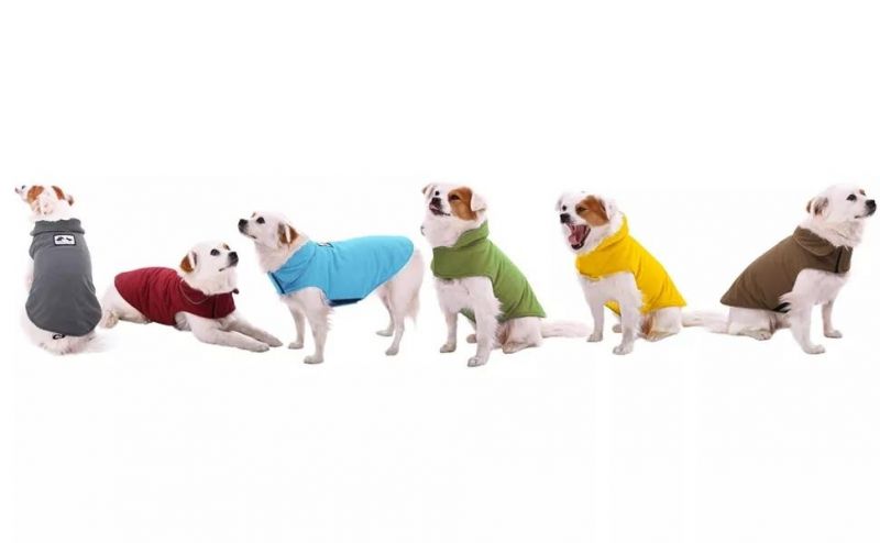 Hot Sale Designer Sportswear Heated Blank Pet Clothes Dog Training Coat