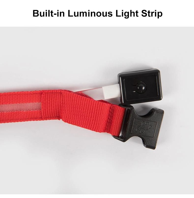 USB Rechargeable Available in 6 Colors 6 Sizes LED Dog Collar Makes Your Dog Visible Safe//