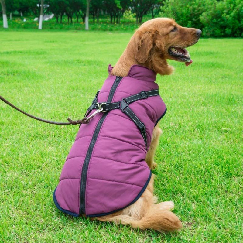Winter Coat for Dogs with Reflective Harness