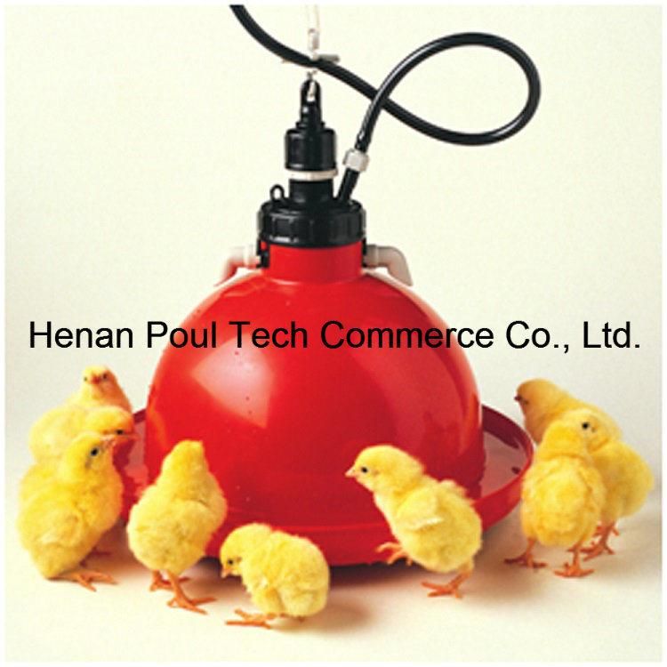 High Quality PE Material Automatic Chicken Drinker