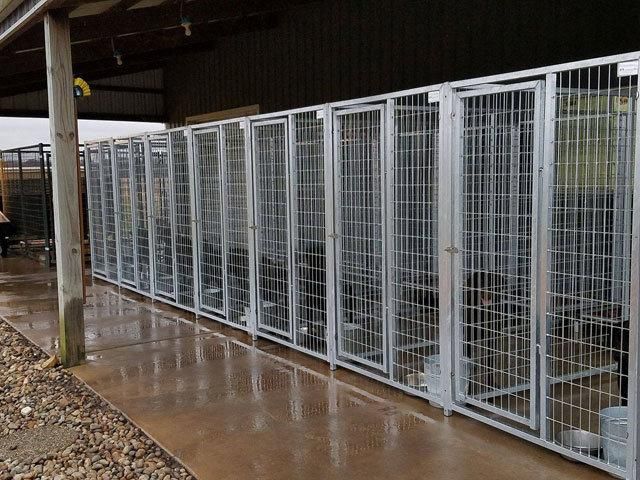 Welded Wire Dog Boarding Kennel Building