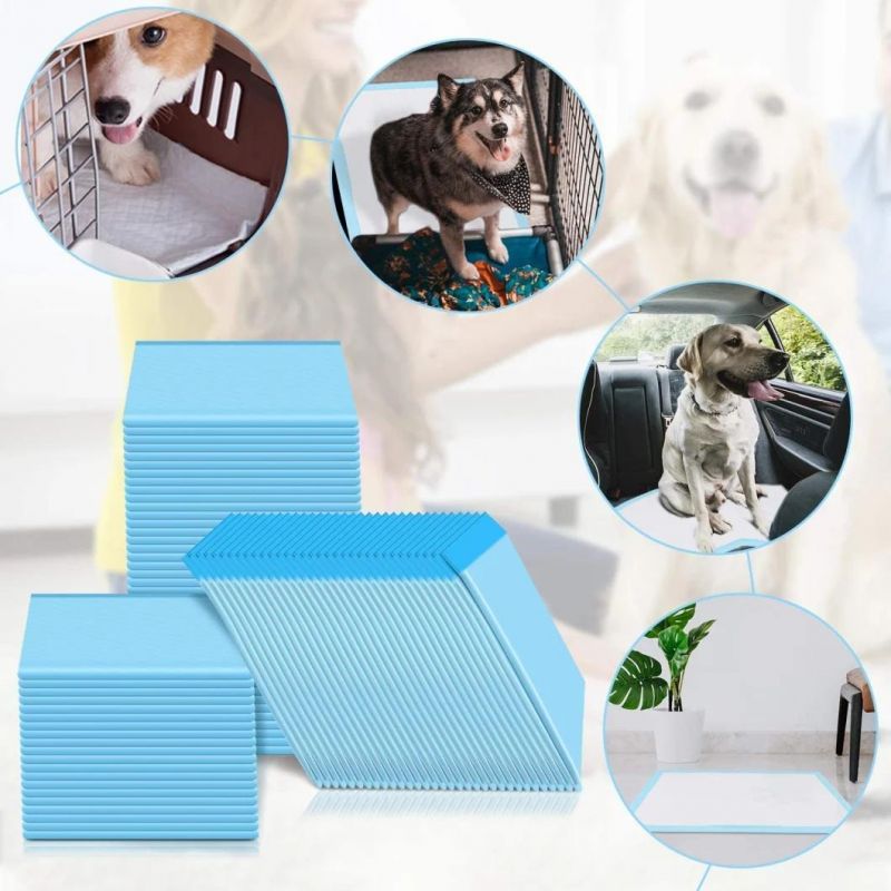 Dog Training Pads Dog PEE Pads Disposable Dog Training Pads Dog Diaper Mat No Spill PEE Pads