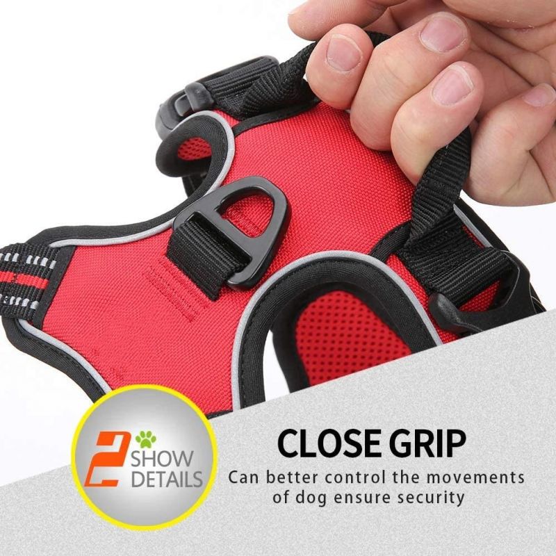 Soft Sponge Padding Pet Dog Harness with Small MOQ