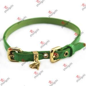 Green Leather Pet Collar Wholesale (PC15121405)
