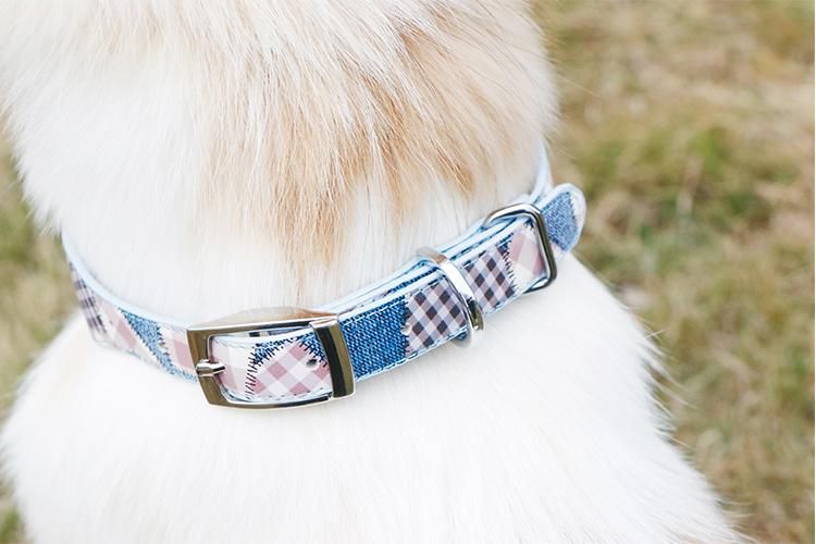 Manufacturers Fancy Soft Unique Logo Eco Custom PU Leather Dog Collar