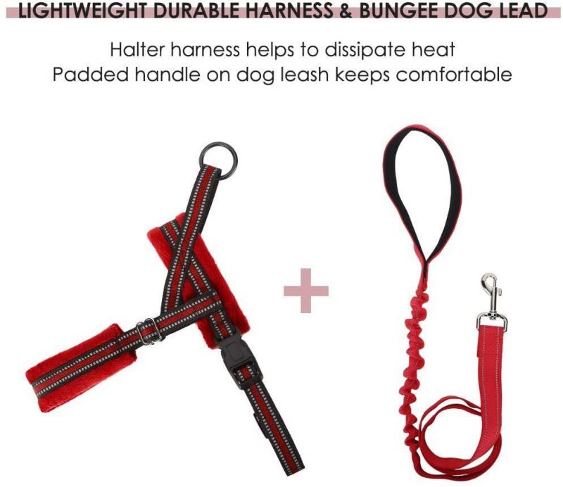 Soft Padded Reflective Adjustable Puppy Harness