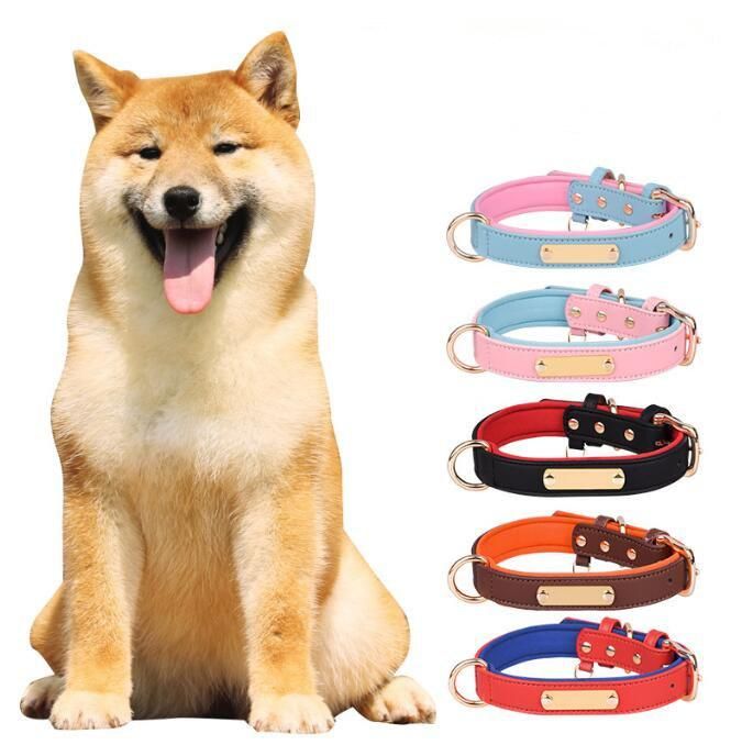 Leather Dog Collar Brass Buckle Soft Neoprene Padded Dog Collar