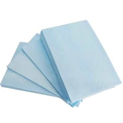 Pet Training Disposable PEE Pads for Puppy Toilet