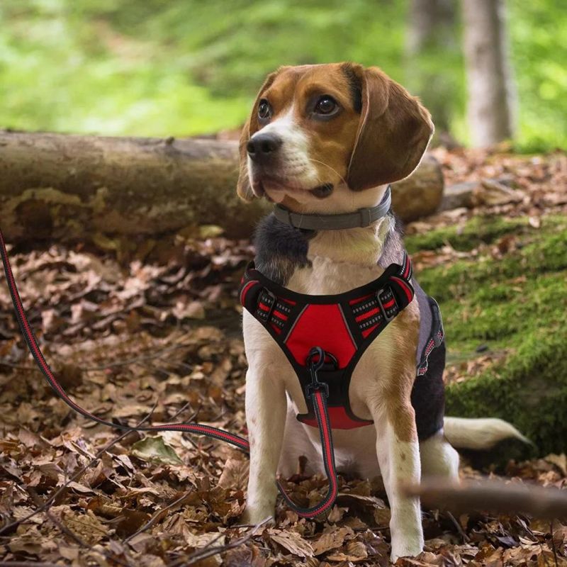 All Weather Use Reflective Comfortable Dog Harness