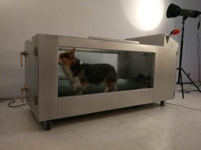 Pet Electric Hydrotherapy Water Treadmill For Dog