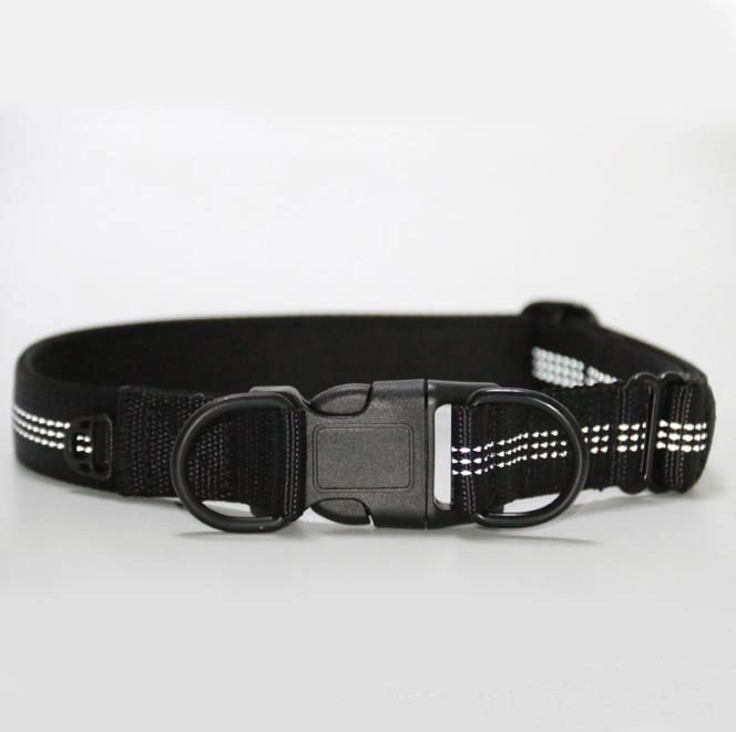 Night Reflective Double D-Ring Plastic Buckle Durable Nylon Dog Collar