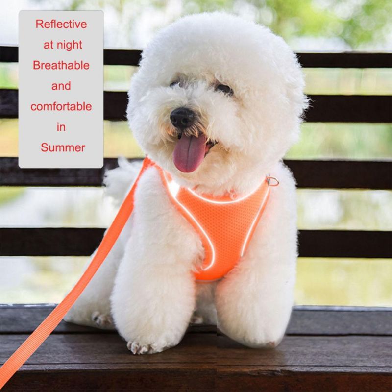 Skin-Friendly Soft Mesh Dog Harness with Dog Leash Set