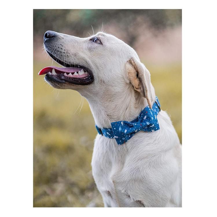 Special Bowtie Dog Collar Adjustable Cotton Webbing Pet Collars