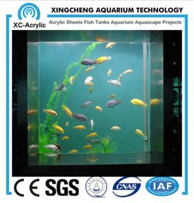 Special Custom-Made Acrylic Jellyfish Tank