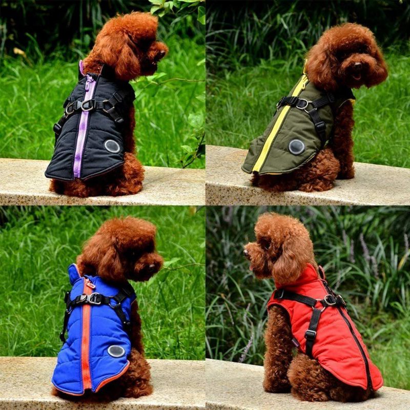 Puppy Winter 2 in 1 Outfit Cold Weather Coat