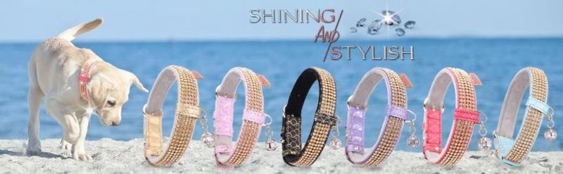 Luxury Dog Collars Adjustable Collars for Small Dog and Cat