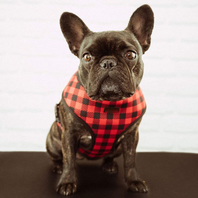 Reversible Harness with Interchangeable Printed Sides. Neoprene on One Side and Mesh on The Other. for X-Small to Medium Dogs