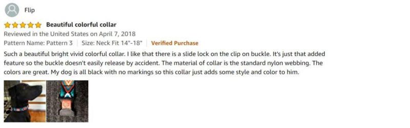 Nylon Dog Collar with Buckle Tribal Pattern