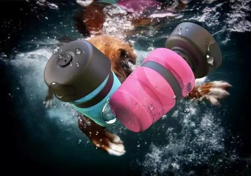 Amazon Hot Sale Pet Watering Supplies Pet Bottle Water Dispenser Dog Water Bottle