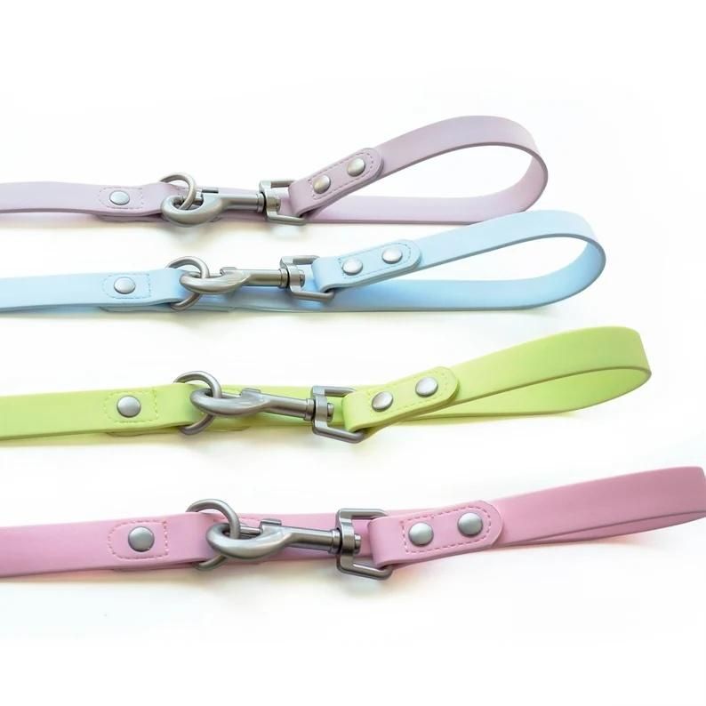 Customized Colors Adjustable Waterproof PVC Dog Collar and Leash Set for Pets Outdoor Training Walking
