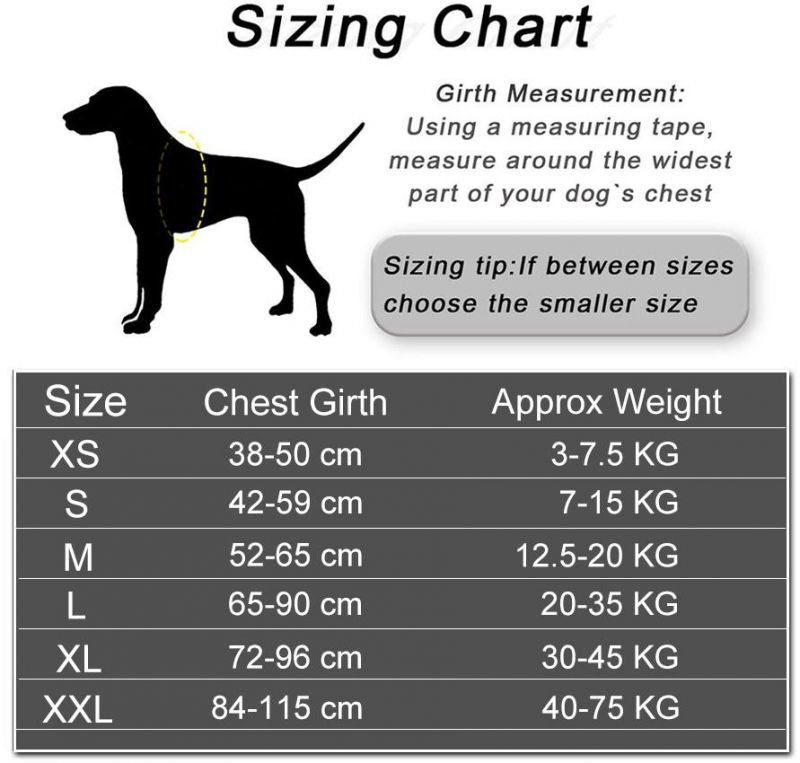 Personalized Dog Harness Reflective Adjustable Dog Harness Vest Pet Accessory