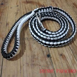 Bingo Wholesale Nylon Paracord Dog Leash