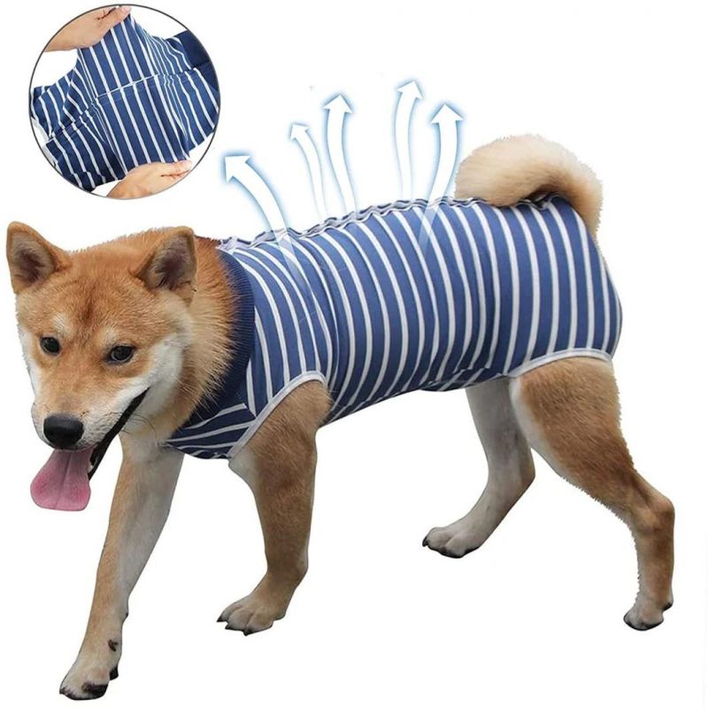 Pet Recovery Suit Professional Protective Shirt for Dog and Cat
