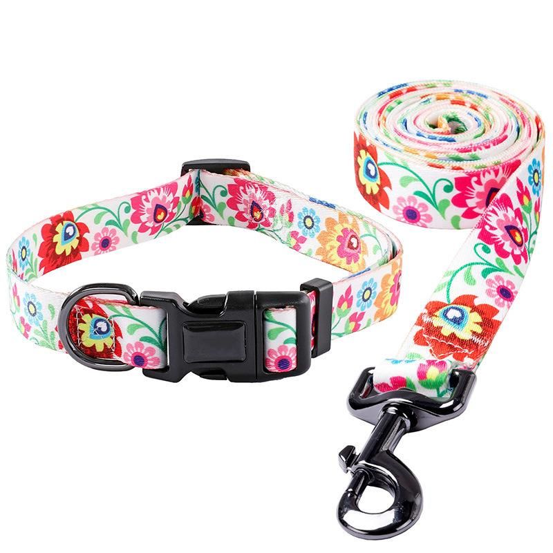 OEM ODM Wholesale Pet Accessories Luxury Neoprene Durable Soft Dog Leash Dog Collar