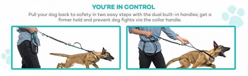 Retractable Hands-Free Dog Leash with Adjustable Waist Belt