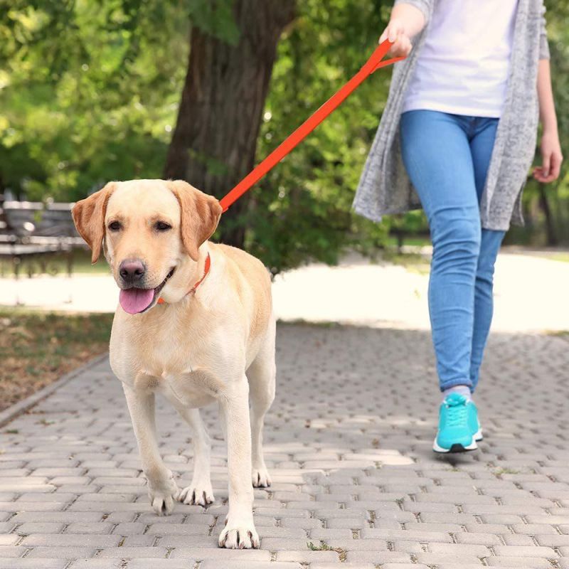 Waterproof PVC Comfortable Pet Collar Matching Leash Set