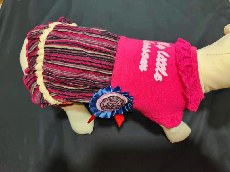 Wholesale Pet Accessories Pet Supplies Dog Clothes Fashion Designer Dog Clothes