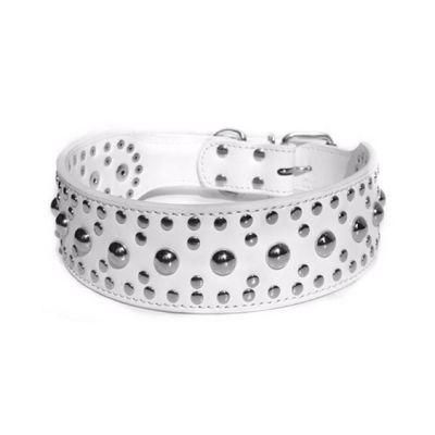 Mushrooms Rivet Studded PU Leather Dog Collar