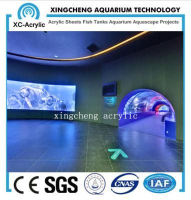Acrylic Tunnel in Public Aquarium with Various Radian/Unbreakable Plastic Acrylic