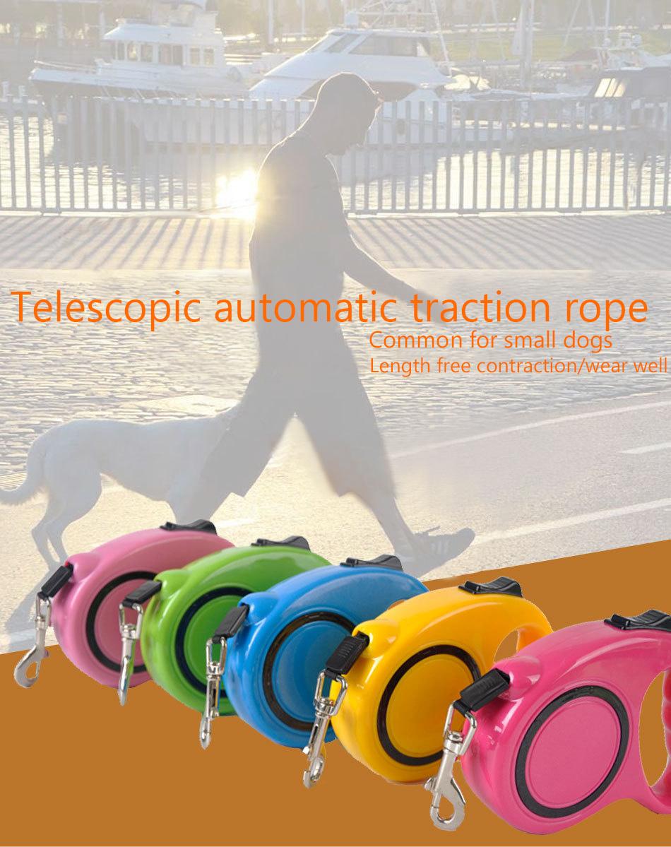 Outdoor Best-Selling Cheap Pet Accessory Auto Dog Leash, Retractable Dog Leash