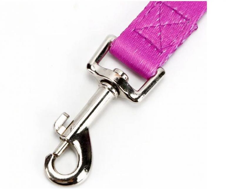 Customized Pattern Sublimation Heat Transfer Polyester Dog Collar Leash