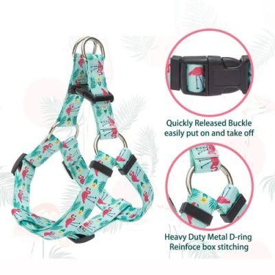 Eco-Friendly Recycled Webbing Sublimation Printing Dog Collar Harness Leash Sets
