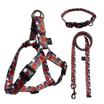 Easy Walking Dog Harness Leash Collar Adjustable Accept Blank Plain Nylon OEM Logo Dog Harness