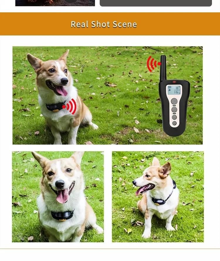 Electric Operated Dog Shock Collar Dog Shock Rechargeable Remote Dog Training Collar