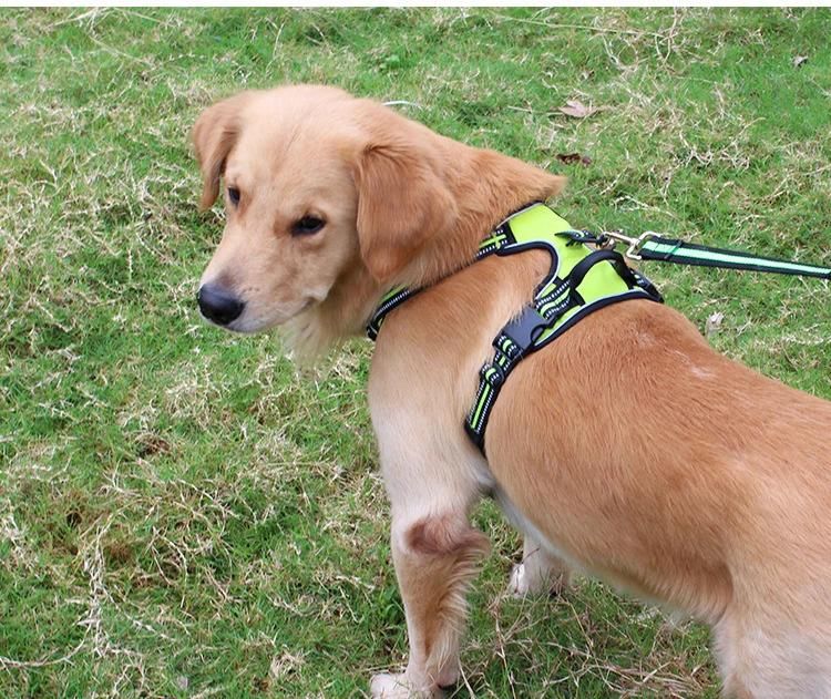 Pet Collar Dog Leash Small, Medium and Large Dog Pet Supplies