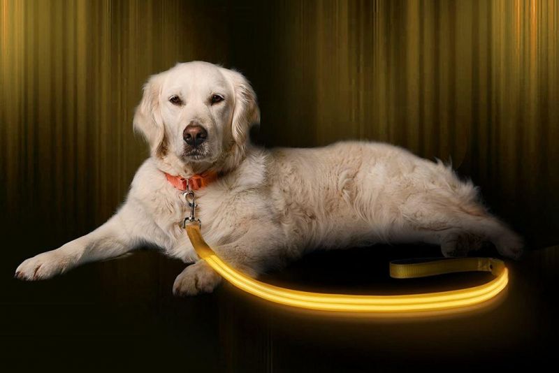 User-Friendly, Comfortable and Fully Adjustable LED Dog Collar