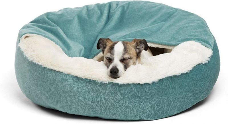 Luxury Dog and Cat Bed with Blanket for Warmth and Security