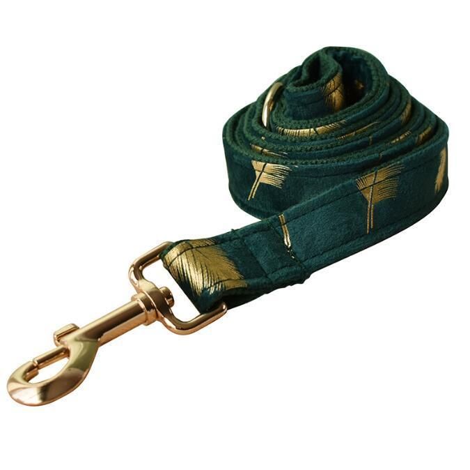 Comfortable and Easy to Clean Luxury Dog Collar