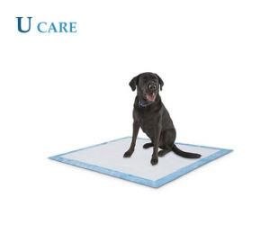 Disposable Dog Training Pad Wholesalers