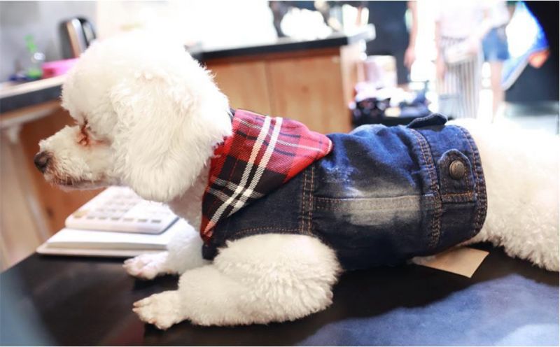 Dog Jeans Hoodie Cool Blue Denim Coat for Small Medium Dogs