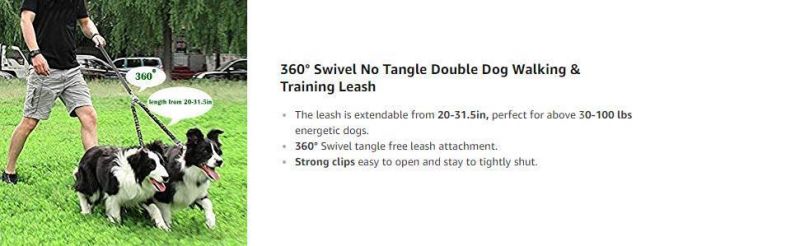 Comfortable Shock Absorbing Reflective Bungee Lead Walk 2 Dogs with Ease