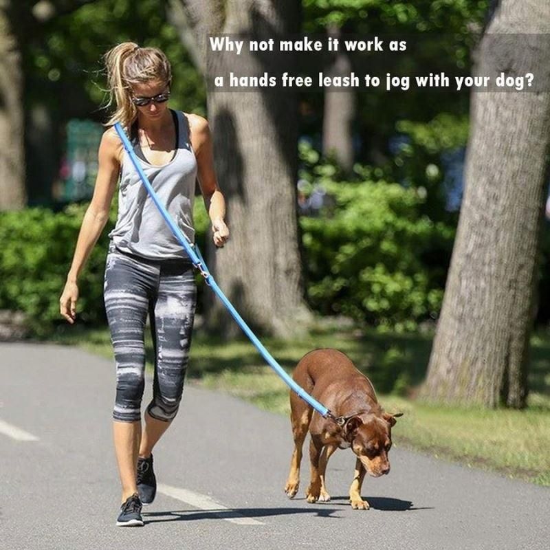 OEM Multiple Designs Reflective Walking Dog Harness with Leash/Pet Toy /Dog Harness/Pet Accessories