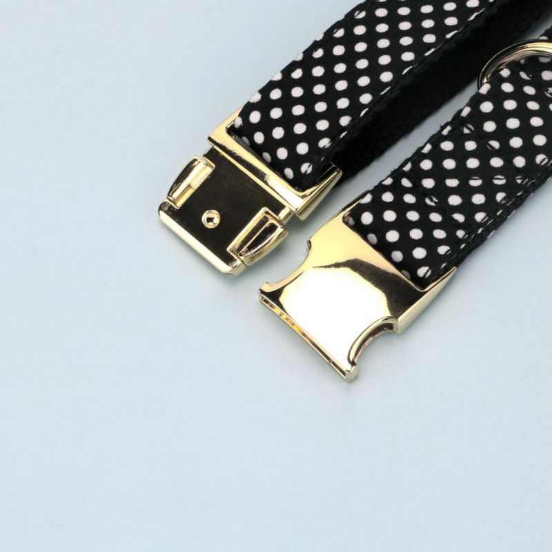 Pattern Dog Collar with Nylon Webbing
