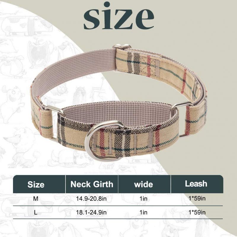 Heavy Duty Adjustable Training Nylon Collar Leash Set
